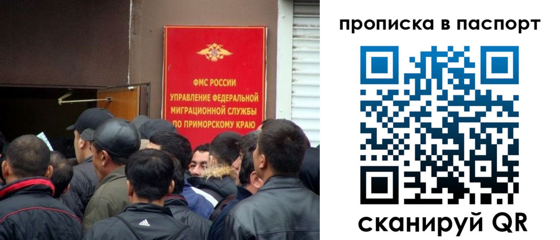 прописка поиск в Соколе