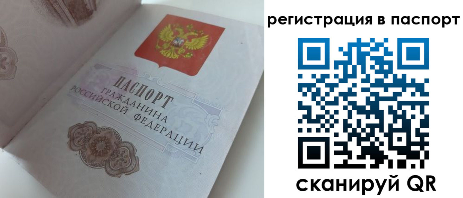 прописка регистрация в Соколе